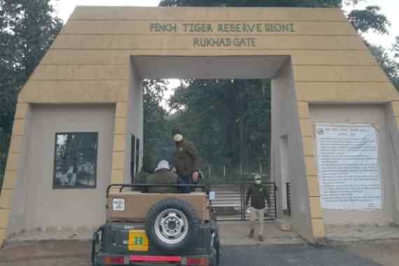 pench tiger reserve seoni