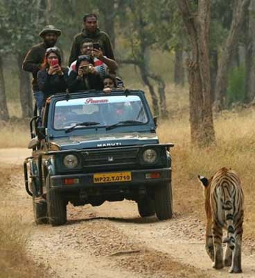 pench safari fun