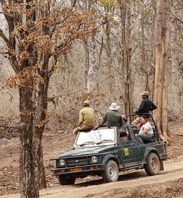 pench wildlife fun