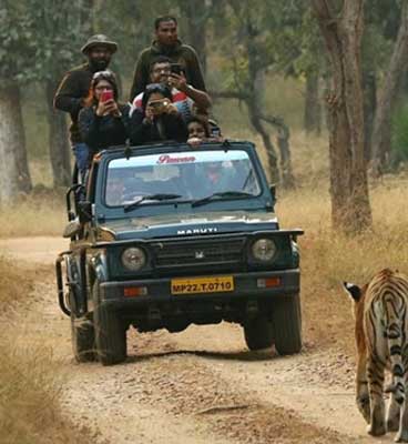 safari zones in pench