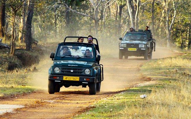 pench national park jeep safari charges