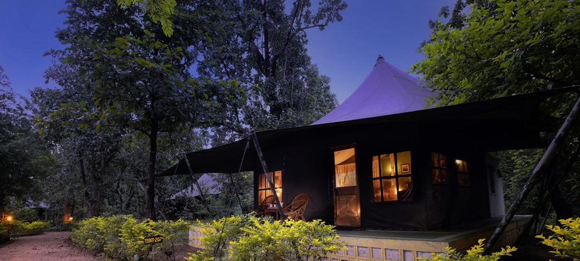 pench jungle camp safari booking