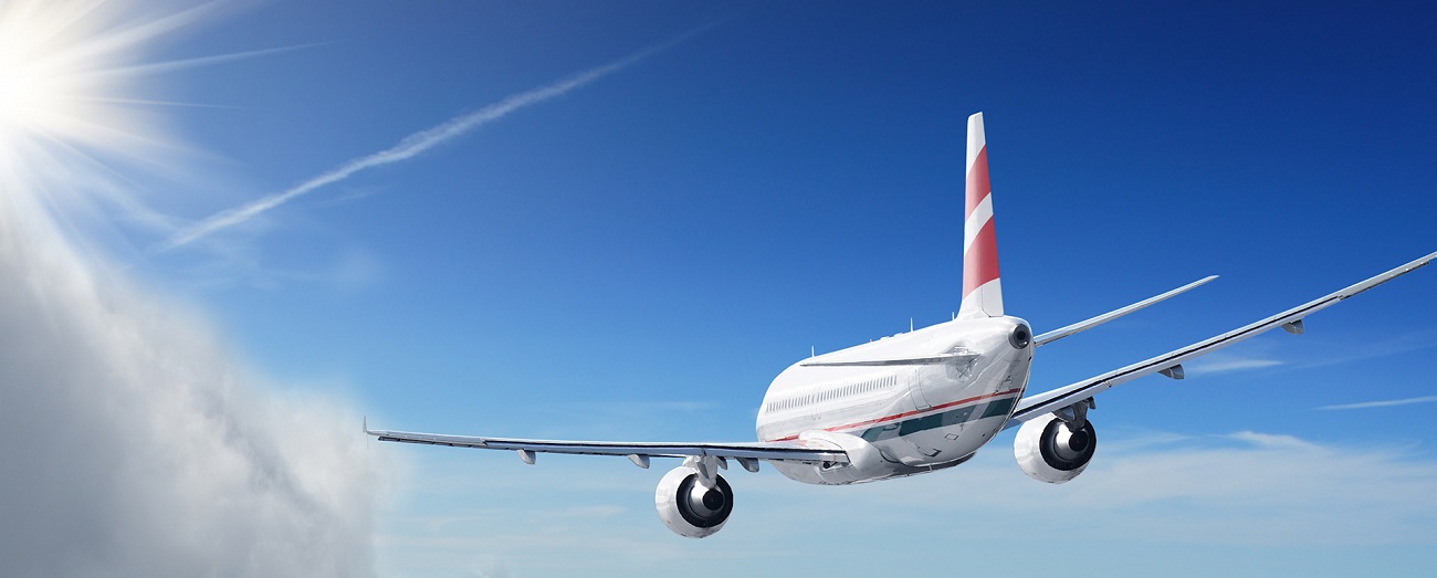 How to Plan a Pench Wildlife Tour from Mumbai