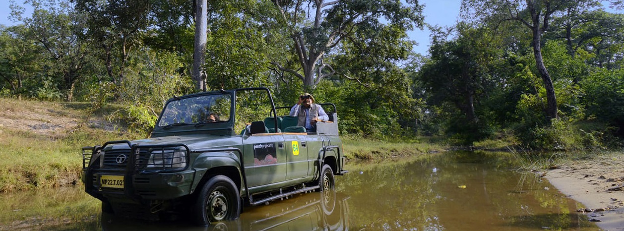 Exploring Pench in 48 Hours - Here’s How to Plan