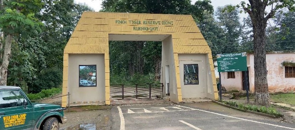 Discover the New Banera Safari Entry at Pench National Park