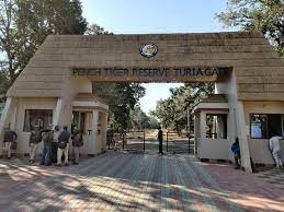 Visit Touria Zone in Pench National Park for Lasting Impression