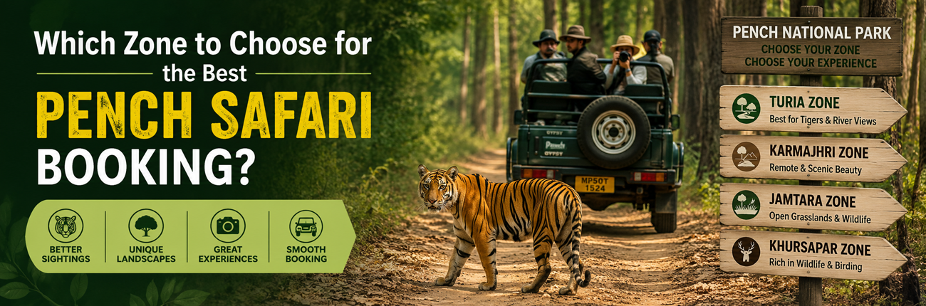 Which Zone to Choose for the Best Pench Safari Booking?