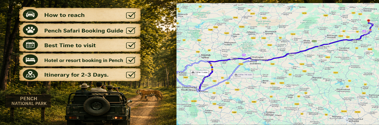 Pune to Pench National Park: Safari Booking & Resort Guide