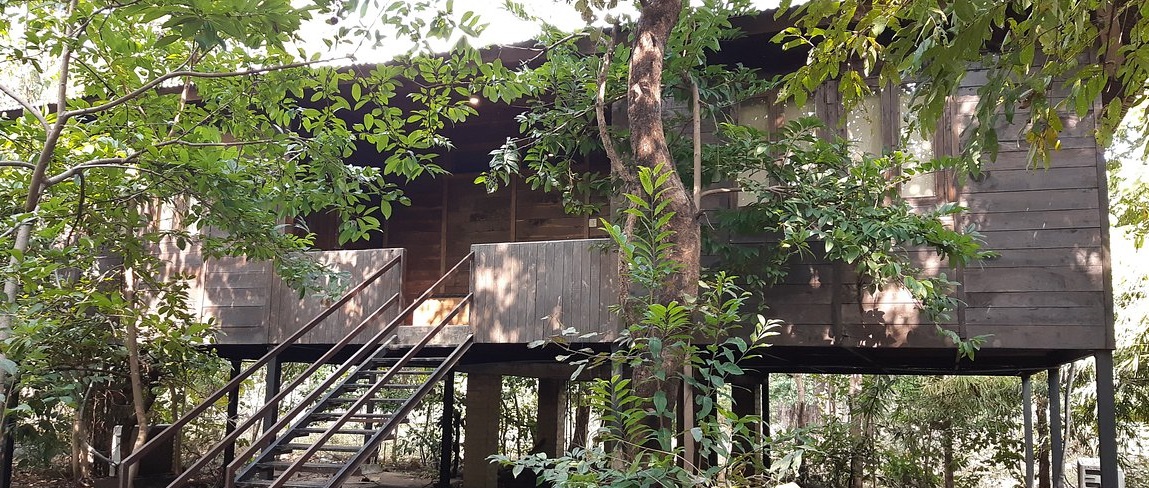 Enjoy Pench Wildlife Safari from the Comforts of Tiger N Woods