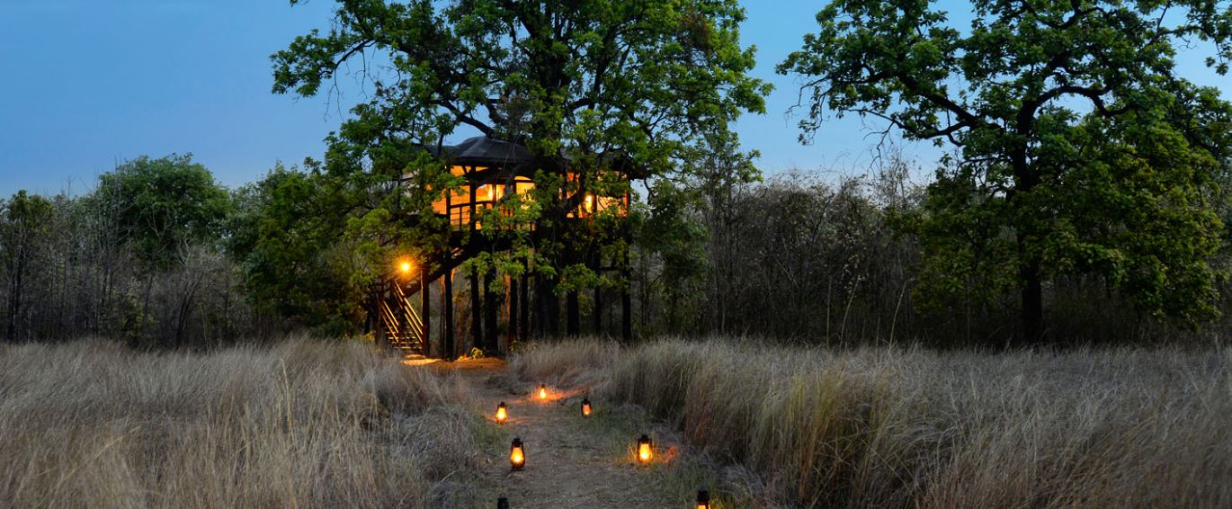 Plan a Short & Luxurious Trip to Pench National Park