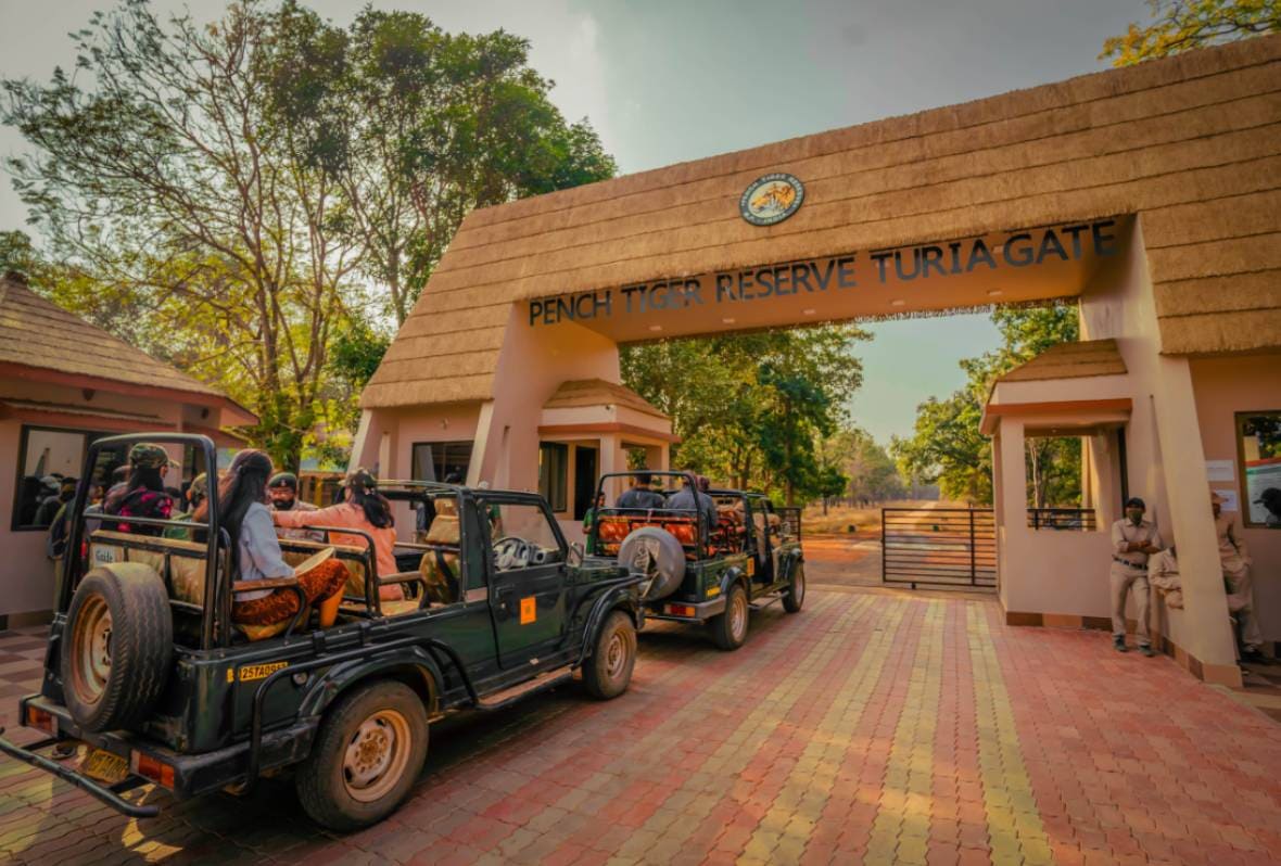 Experience Jeep Safari in the Turia Zone at Pench